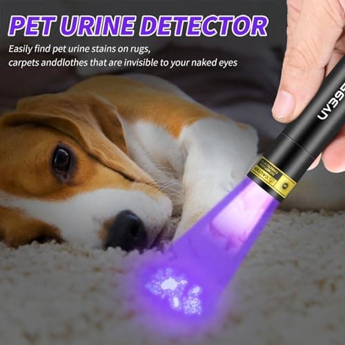 Rechargeable UV Flashlight for Pet Urine Detection and Leak Inspection