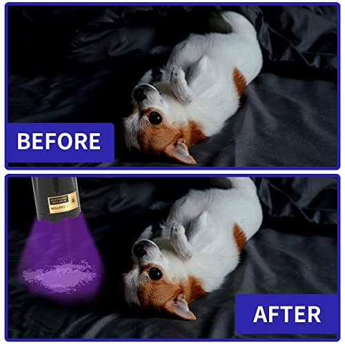 365nm 395nm UV Flashlight, Black Light Torch for Pet Urine & More icmpetà
