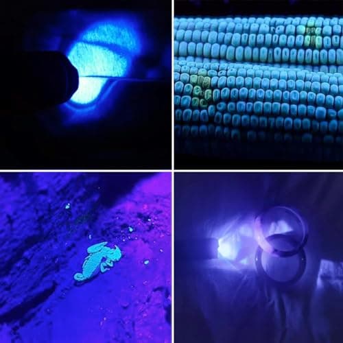 365nm & 395nm UV Flashlight Wood's Lamp Black Light for Pet Stains & Scorpion Detection LED Torch
