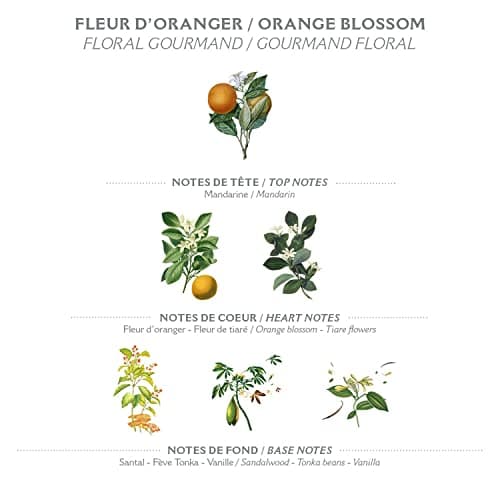 Panier des Sens Orange Blossom Foaming Body Wash - Moisturizing Soap with Glycerin & Olive Oil - 8.45 oz Vegan
