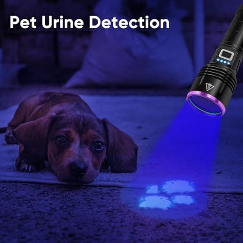 UV Flashlight 20W, 5000Mah High Power 365nm UV Light, Rechargeable Black Light for Pet, Resin, Rocks, Travel, AC, Uranium Glass, Bed Bug