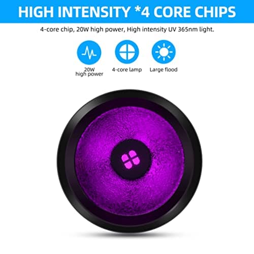 DARKBEAM USB-C Rechargeable 365nm Black Light Flashlight for Fluorescent Detection