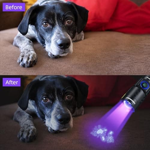 DARKBEAM Rechargeable 395 NM UV Flashlight, Waterproof for Leak Detection & UV Resin Curing