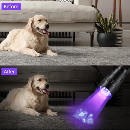 DARKBEAM Flashlight UV 395nm Black Light, Mini & Powerful Wood's Lamp USB -C LED Rechargeable Blacklight, Portable Pet Dog Urine Detector