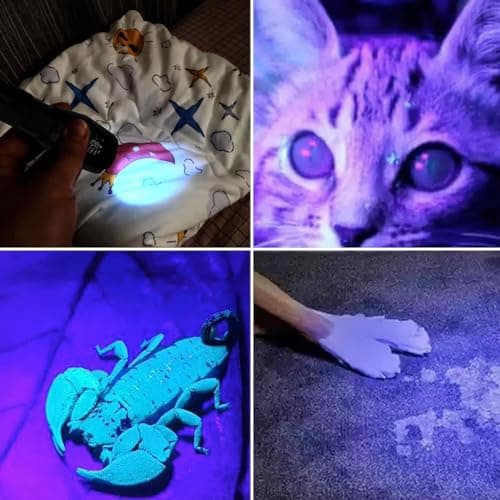 365nm & 395nm UV Flashlight Wood's Lamp Black Light for Pet Stains & Scorpion Detection LED Torch