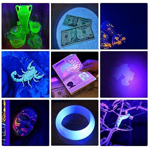 365nm 395nm UV Flashlight, Black Light Torch for Pet Urine & More icmpetà