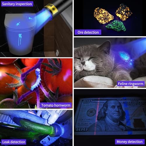 UV Rechargeable Blacklight for Pet Urine Detection
