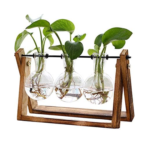 Retro Wooden Stand Plant Terrarium with 3 Bulb Vase for Home Garden Office