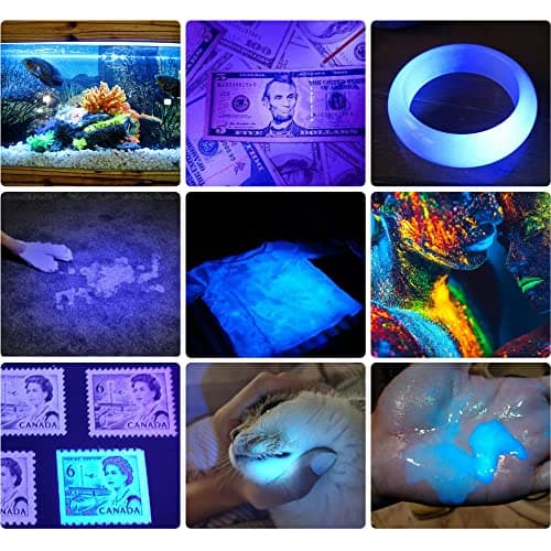 DARKBEAM 2-Pack 365nm UV Light Flashlight for Dog Urine Detection & Resin Curing