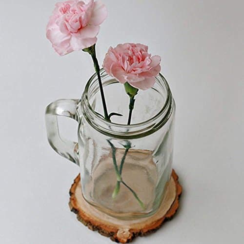 Natural Tree Bark Wood Slices Coasters 10 Pcs Rustic Craft Kit