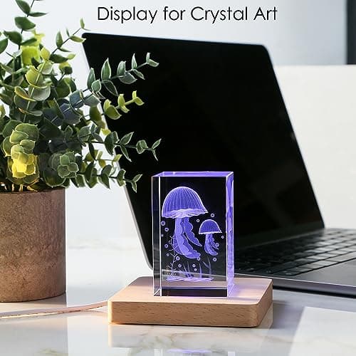 IFOLAINA Wood Base Small Multi-Color LED Light Display Stand for 3D Crystal Ball Glass Art