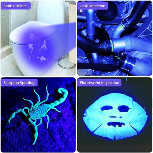 Rock Fluorescent Detection DARKBEAM 365nm Black Light Flashlight USB-C Rechargeable Portable
