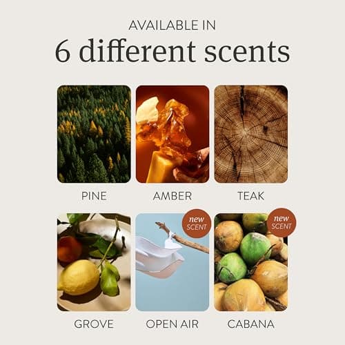 Drift Amazon Wood Air Freshener Starter Kit - Cabana