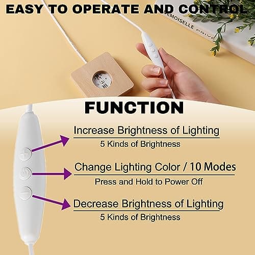 IFOLAINA Wood Base Small Multi-Color LED Light Display Stand for 3D Crystal Ball Glass Art