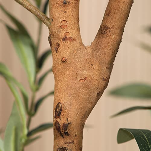 Kazeila 6FT Tall Artificial Olive Tree for Home Office Decor