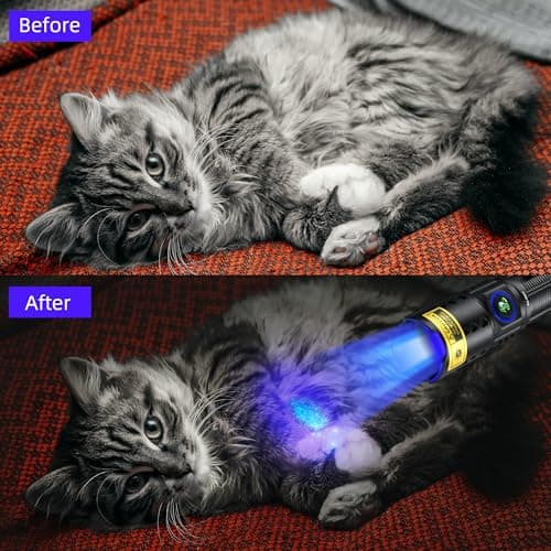 DARKBEAM 365nm UV Flashlight with Filter, Powerful USB-C Rechargeable LED Blacklight