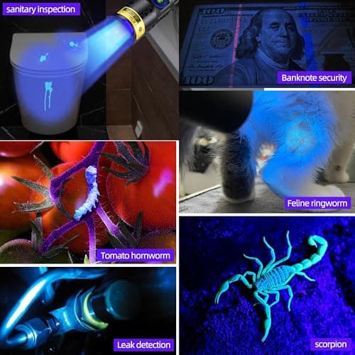 DARKBEAM 365nm UV Flashlight with Filter, Powerful USB-C Rechargeable LED Blacklight