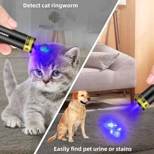 Rock Fluorescent Detection DARKBEAM 365nm Black Light Flashlight USB-C Rechargeable Portable