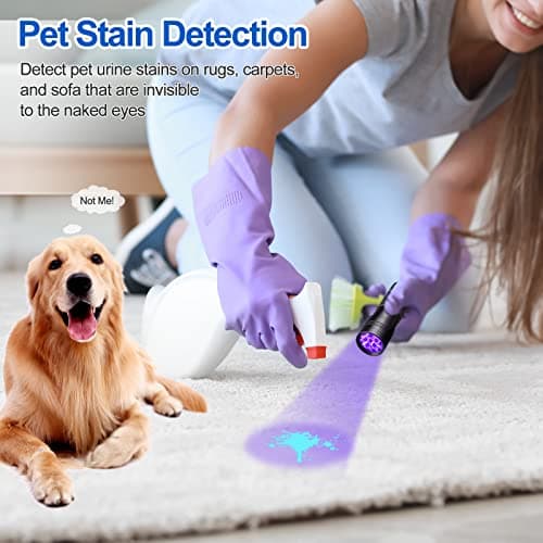 Vansky Black Light UV Flashlight for Pet Urine & Dry Stains On Carpets