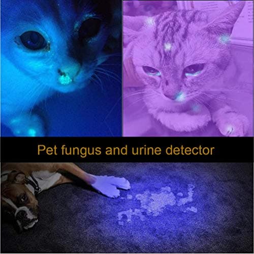 ALONEFIRE SV003 10W 365nm UV Flashlight for Pet Urine Detection & More Black Light