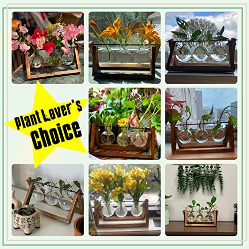 Retro Wooden Stand Plant Terrarium with 3 Bulb Vase for Home Garden Office