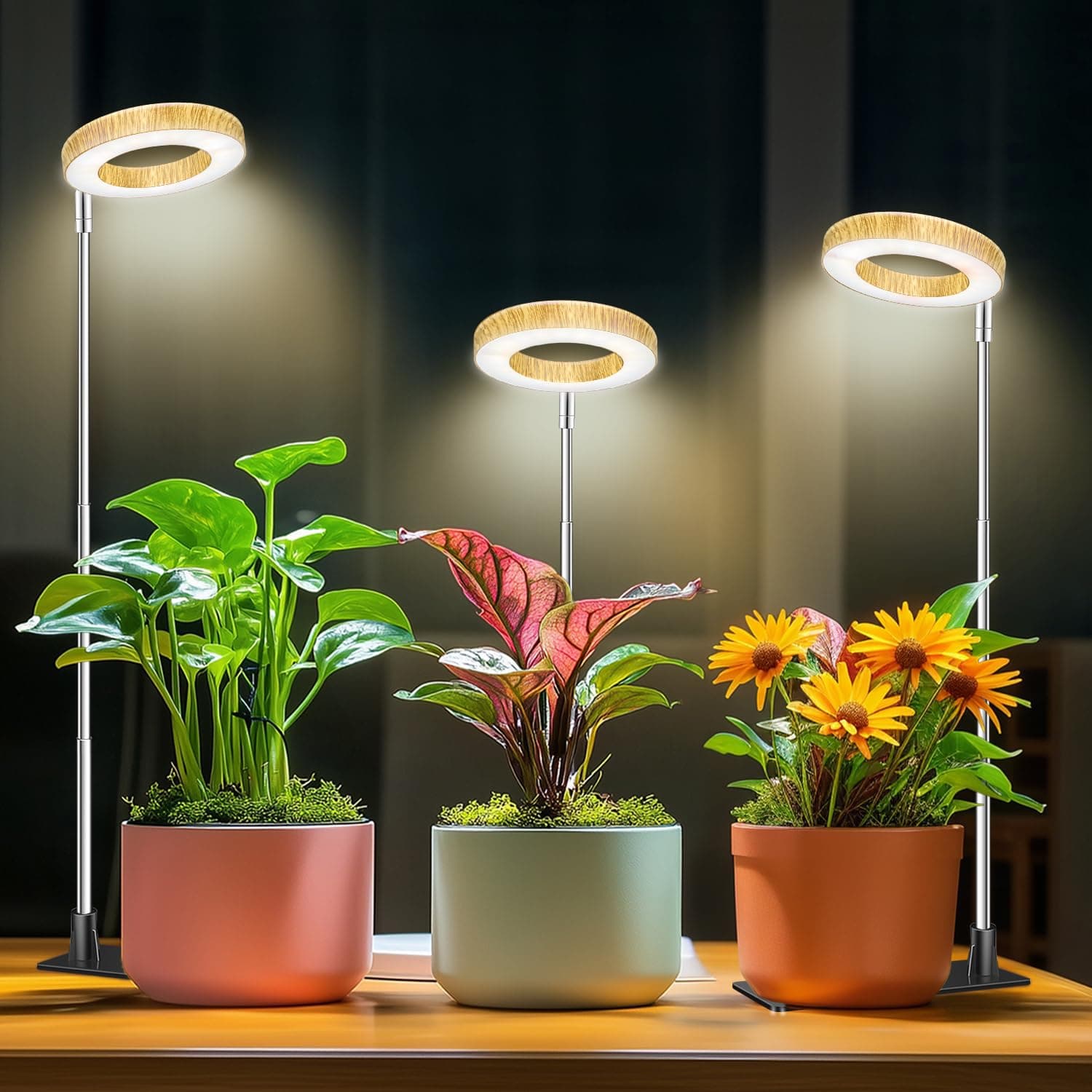 Full Spectrum 48 LED Grow Light, Height Adjustable with 3 Optional Spectrums and Auto Timer